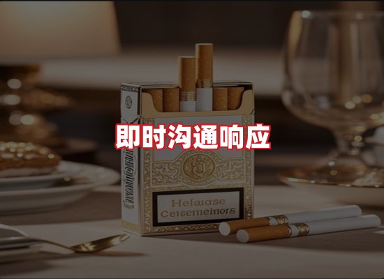 专业团队